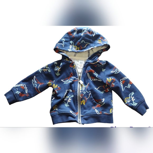 BOGO: Dinosaur Zipper Hoodie - Picture 1 of 3